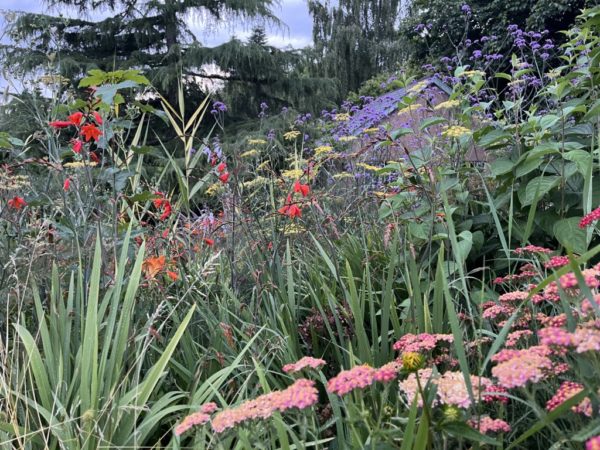 image001 image001